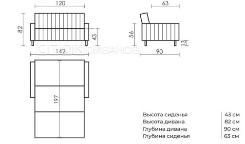 ����� �������� ������ ����