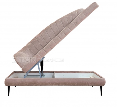 ���� ��� ����� ��� ��������