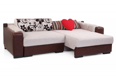 �����/���� �������