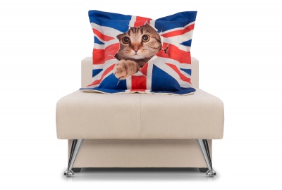 ������ �����